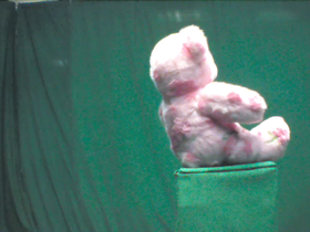 180 Degrees _ Picture 9 _ Pink Floral Design Teddy Bear.png